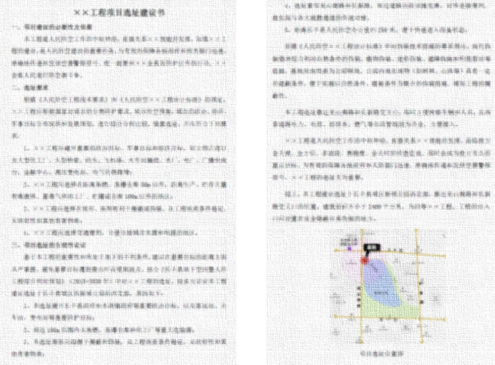 项目建议书